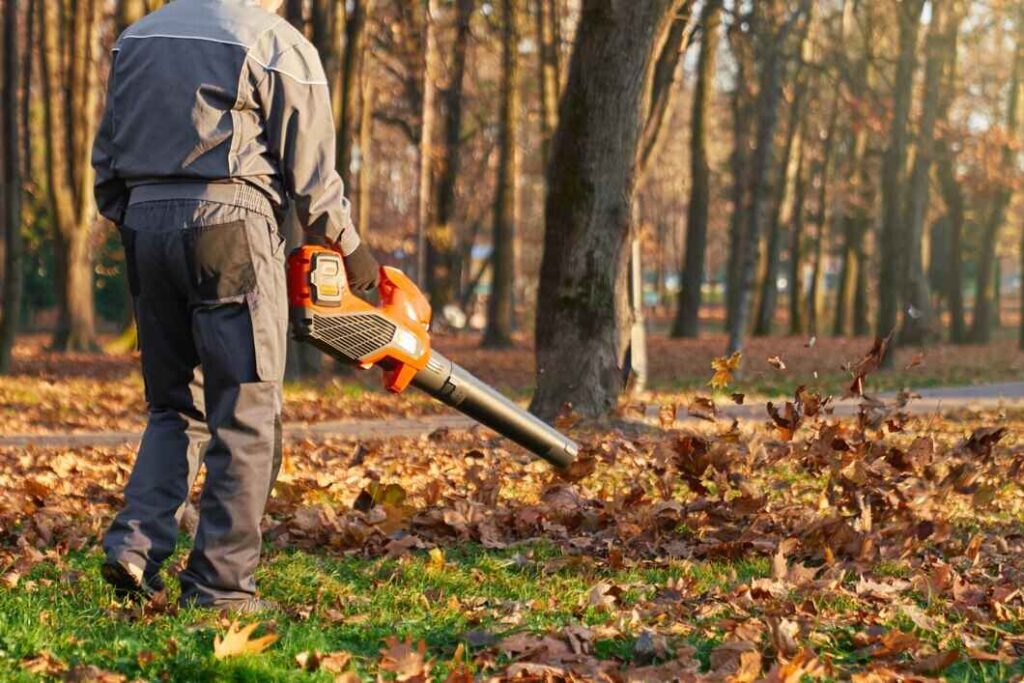 Garden Clearance Chelsea