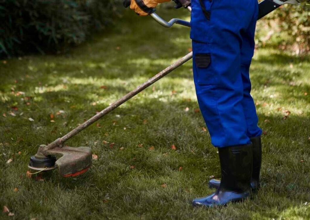 Garden Clearance Ealing