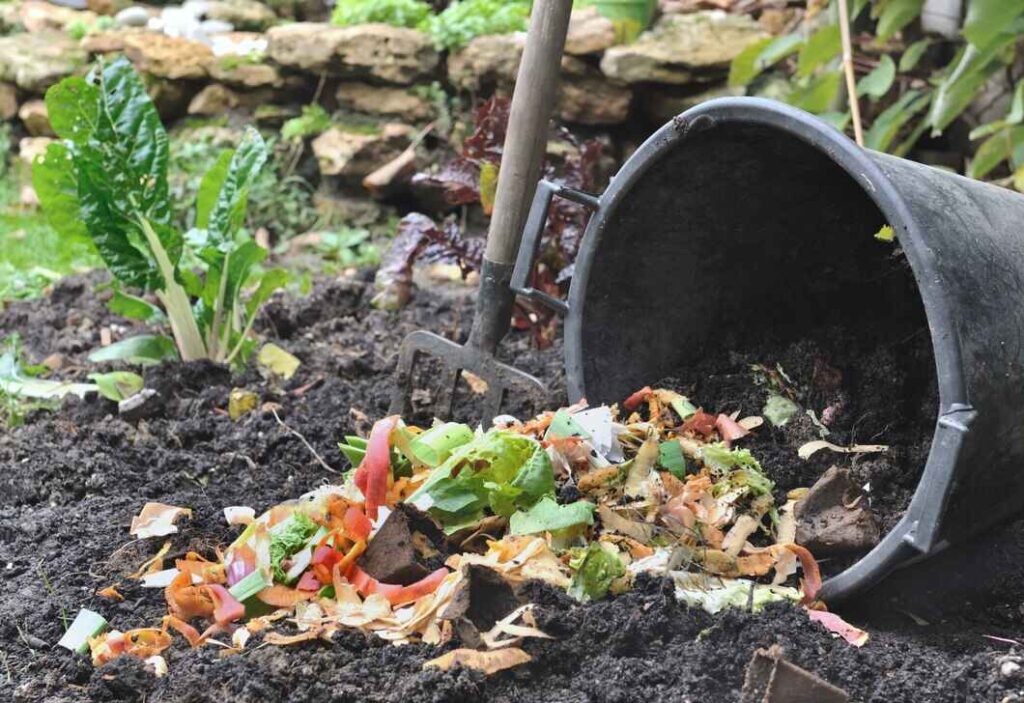 Garden Clearance Enfield