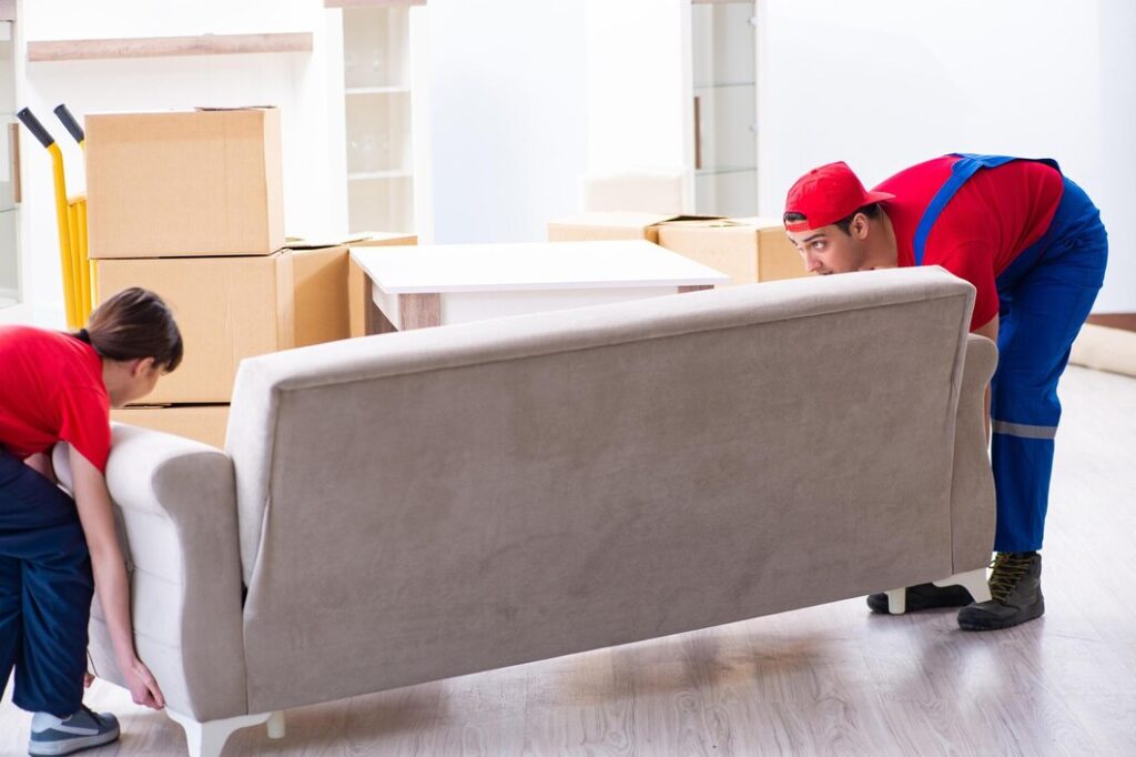 sofa collection enfield