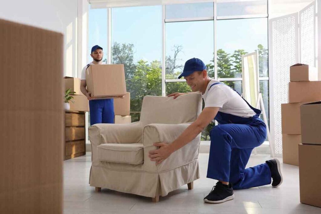 sofa collection hounslow