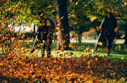garden waste clearance